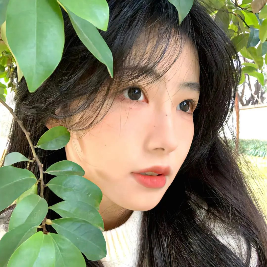 挖那只狗