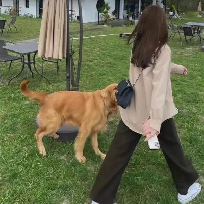 沉默狂想三部曲